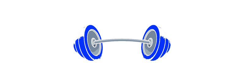 Fitness Training Solutions